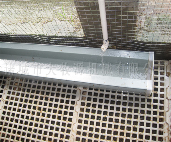 鸭水槽